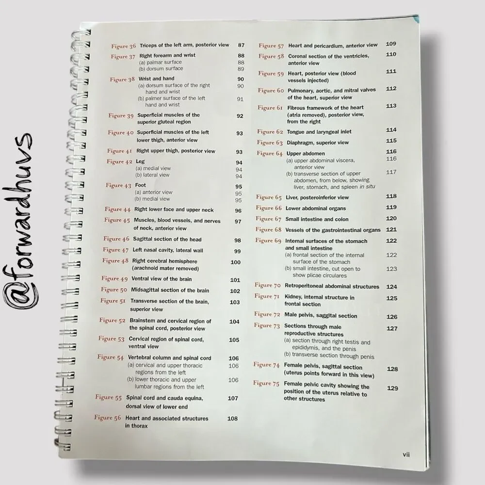 2007 Brief Atlas of the Human Body by Matt Hutchinson